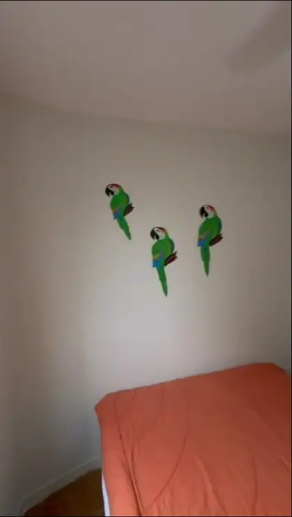Prévia do vídeo Ed. Marizit